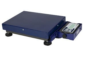 Купить ВЕСЫ НАПОЛЬНЫЕ МОБИЛЬНЫЕ   MAS PM1B-150 М 4050