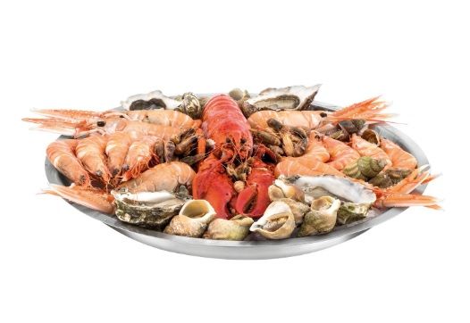 Купить Поднос круглый для морепродуктов d36см, h4,5см, нерж.сталь 42979-36