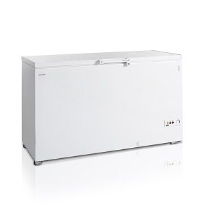 Купить ЛАРЬ МОРОЗ. TEFCOLD FR505 SL