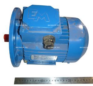 Купить Электро-двигатель МОК-150-71A6Y2