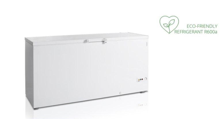 Купить ЛАРЬ МОРОЗ. TEFCOLD FR605 SL